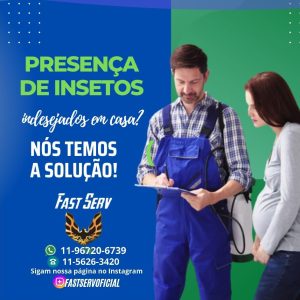 Dedetização